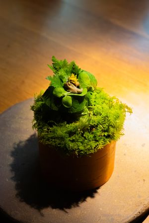 Fresh green moss-like garnish arranged on a dark stone plate under warm lighting.