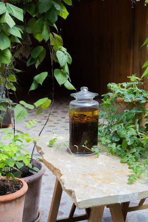 Outdoor patio setting with potted plants and glass containers on a stone surface.