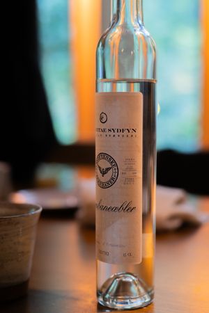 Clear glass bottle of spirits displayed on table with blurred turquoise background.