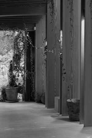 Minimalist architectural space with wooden pillars and concrete floor in monochrome.