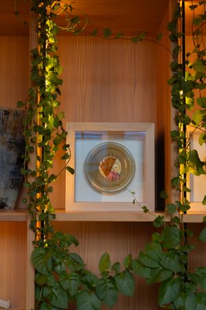 Clock faces displayed on wooden walls with hanging green vine decorations.