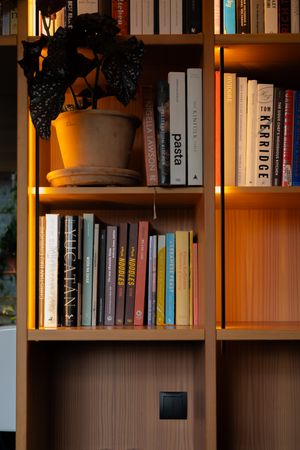 Wooden bookshelf with warm lighting displays various books and a potted plant on its illuminated shelves.