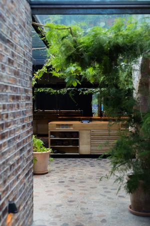 An outdoor brick patio space with green plants and wooden furniture under natural lighting.