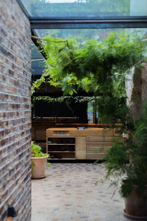 Restaurant space with exposed brick walls and lush hanging greenery near large windows.