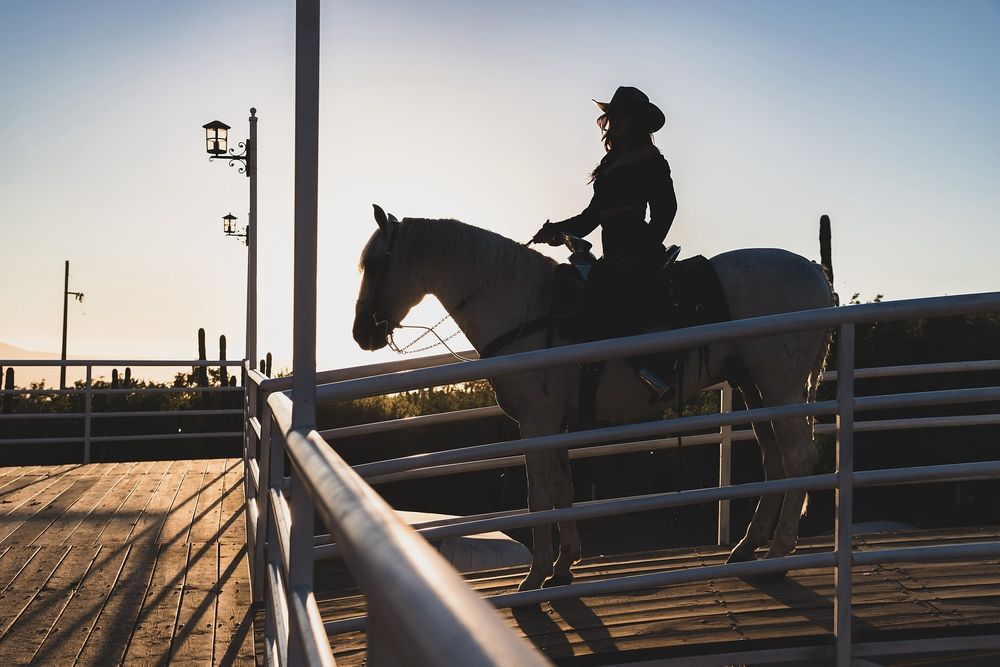A silhouetted horse and rider stand atop a fence against a sunset sky with lens flare effects.
