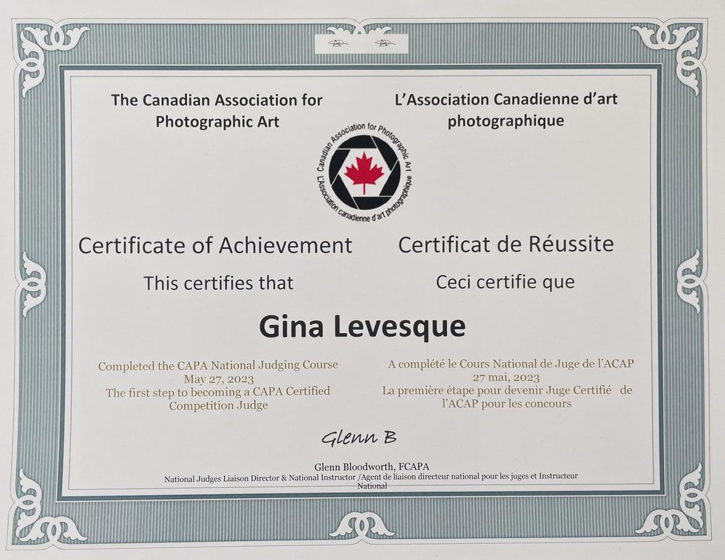 Certificat