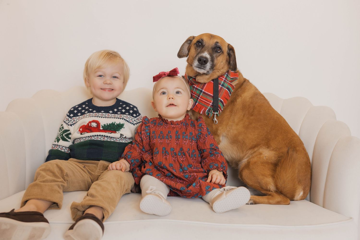 Children and pets pose on white couch for holiday photo session.