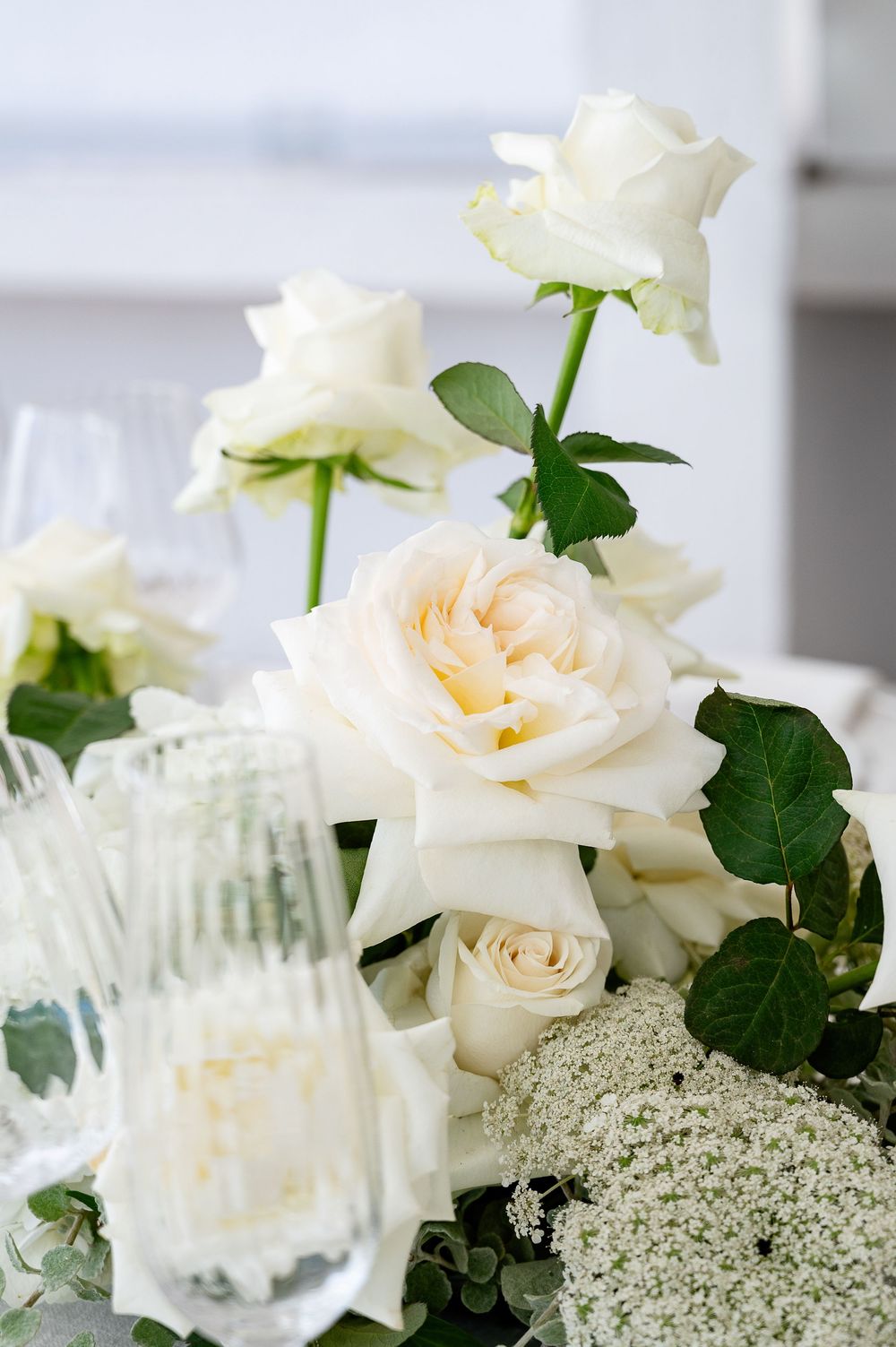 Beautiful white roses arranged with baby's breath and greenery against a soft white background for an elegant floral display.