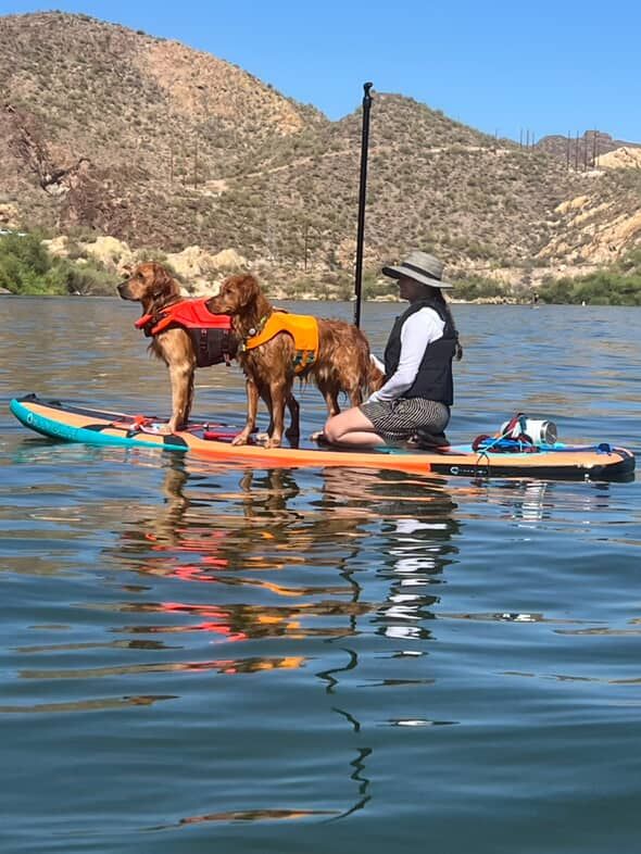 Two dogs wearing life jackets paddle boarding with someone on a calm lake surrounded by desert mountains.
