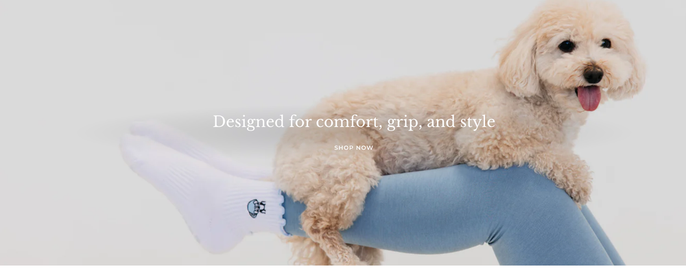 Fluffy white poodle wearing a pink bow sits on a light blue couch against a pink and white backdrop.