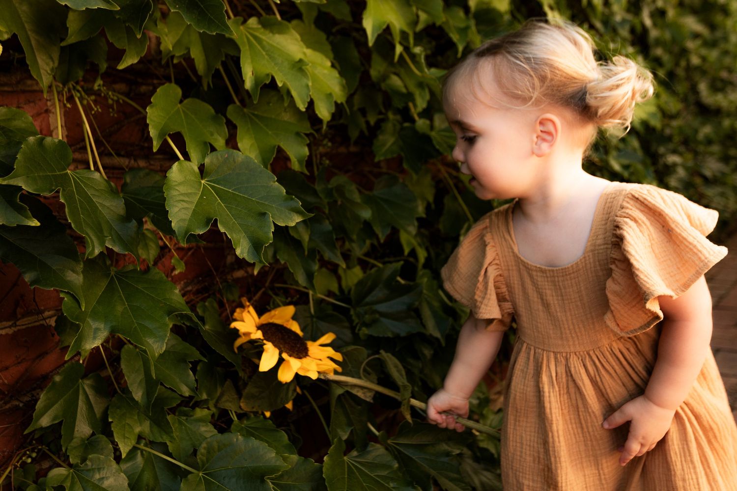 A toddler in a mustard dress reaches towards yellow flowers growing on green vines.
