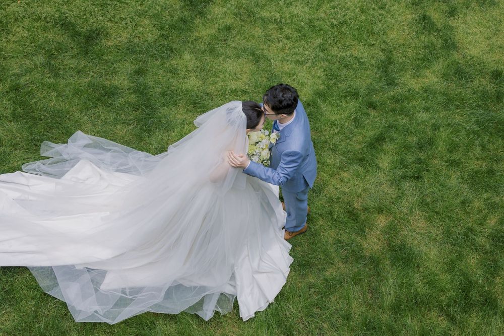 Aerial view of couple standing on grass with bride's long flowing veil spread beautifully.