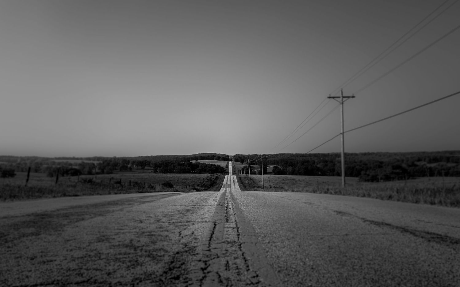 fine art prints