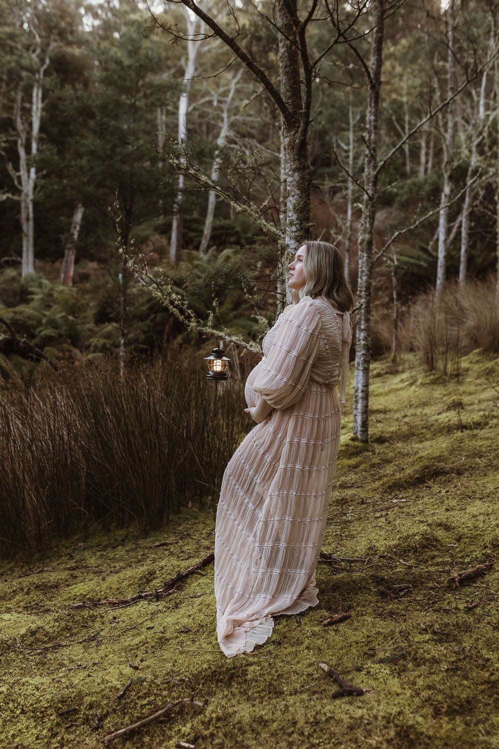 Pregnant woman in flowing lace dress holds lantern in mossy forest with birch trees.