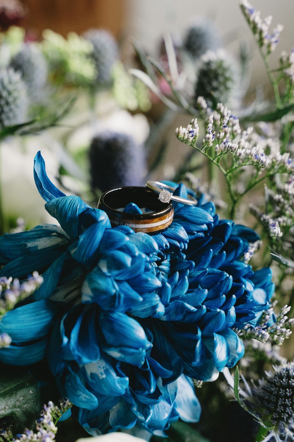 A series of blue hydrangea flowers arranged in a floral display with delicate white baby's breath accents.