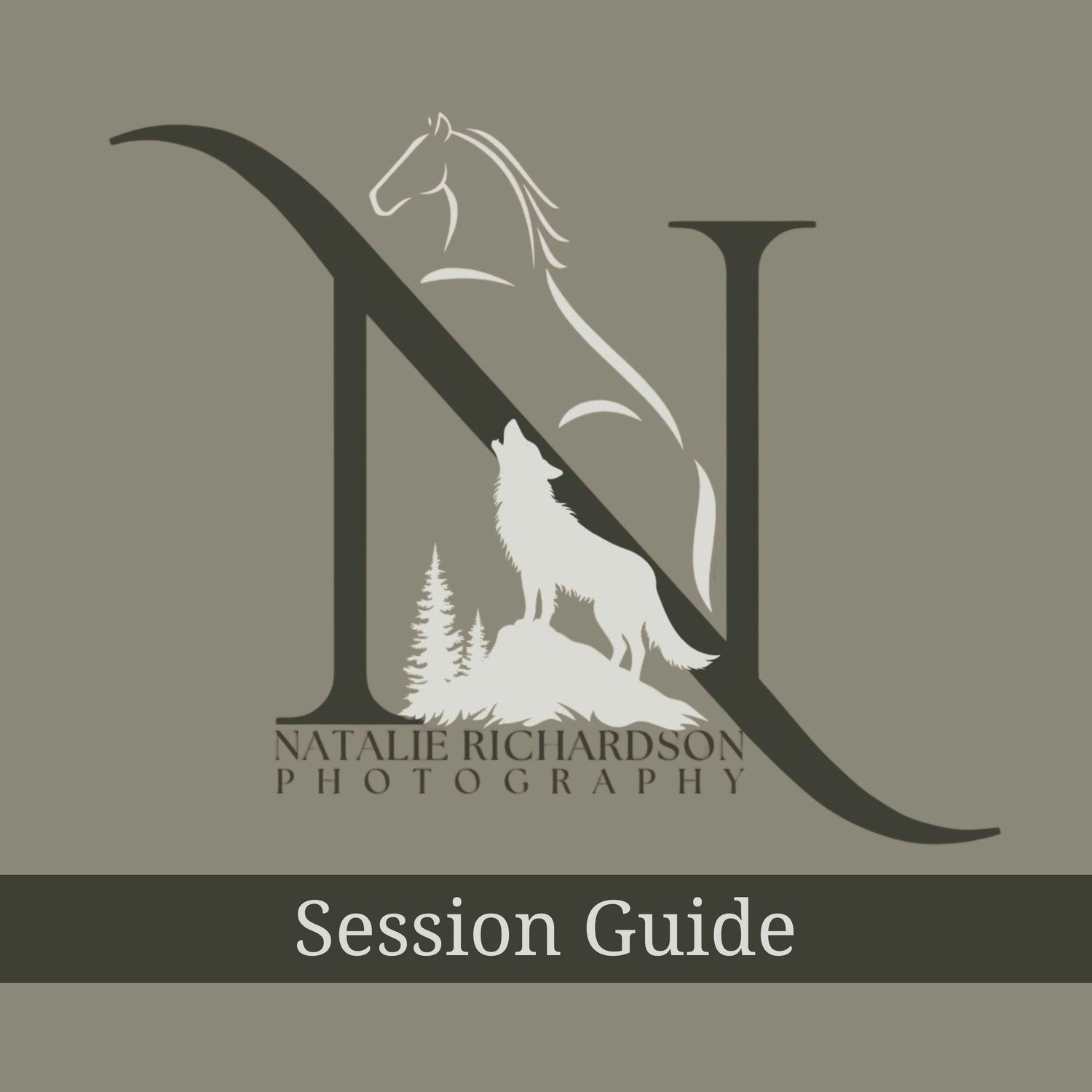 Natalie Richardson Photography Session guide