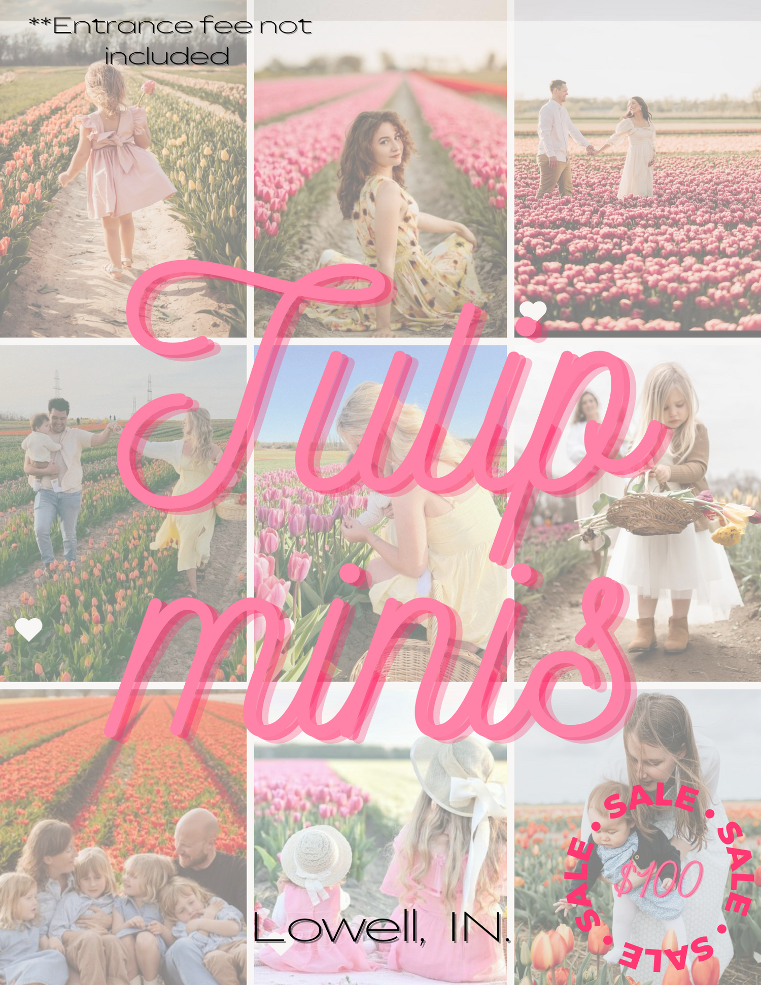 Collage of tulip field photography sessions with pink text overlay.