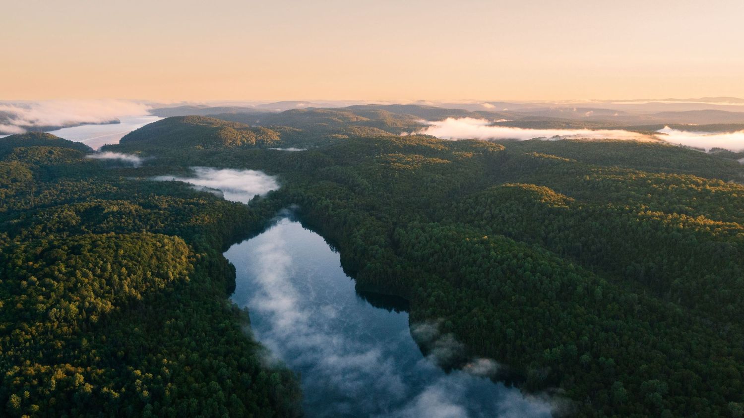 Aerial view of a winding river surrounded by dense forest and morning mist during sunrise.