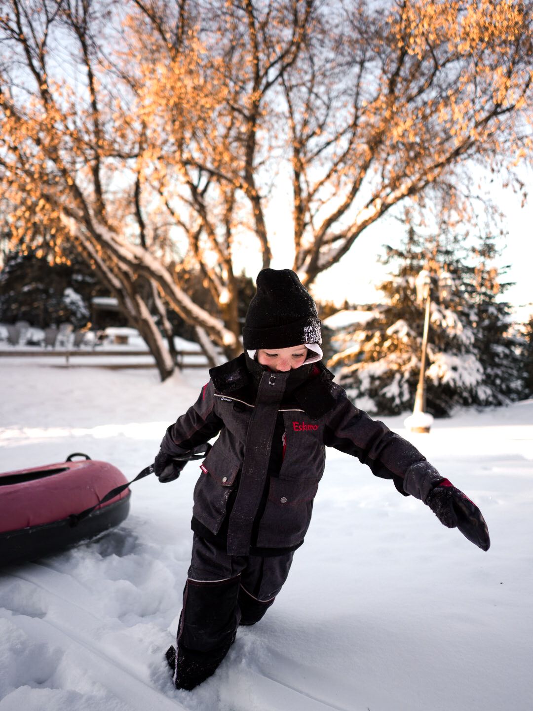 Action shots of snow tubing down a hill during golden hour with trees in the background.