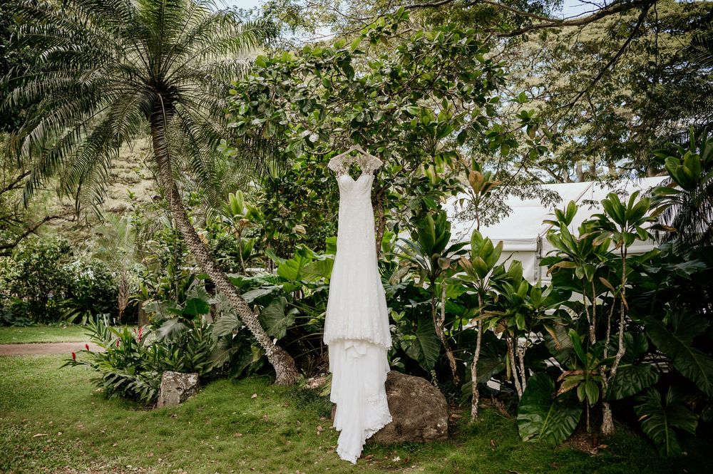 A white wedding dress hangs elegantly from a palm tree in a lush tropical garden surrounded by greenery.