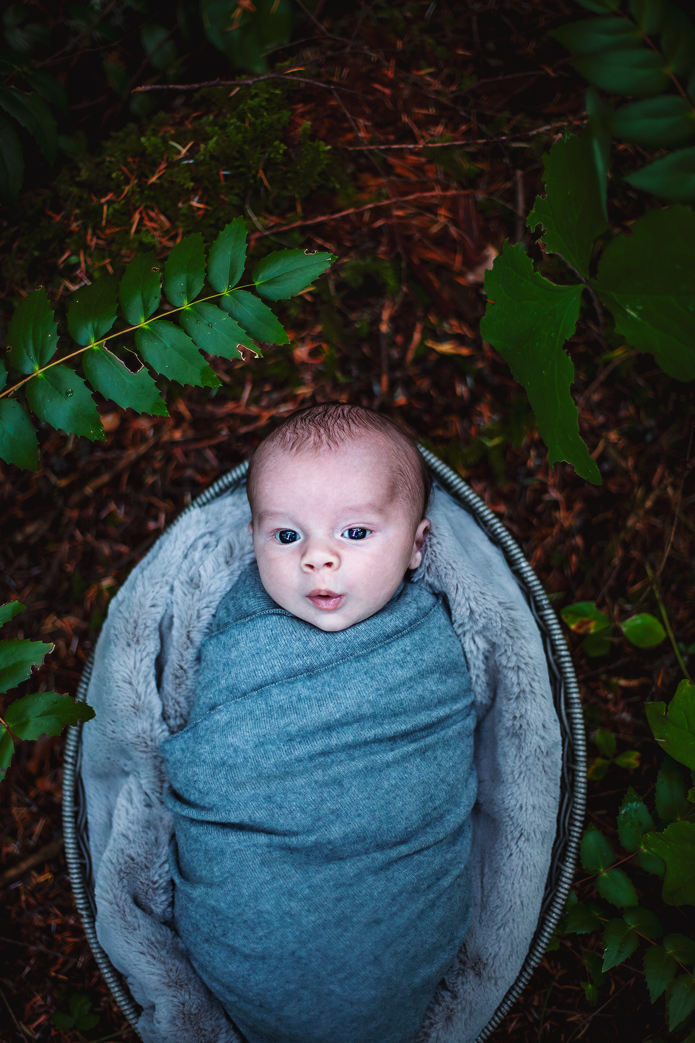 Nanaimo Outdoor Newborn Photography - Little Ginger Photography in Nanaimo, BC on Vancouver Island. Newborn Photographer in Nanaimo BC.