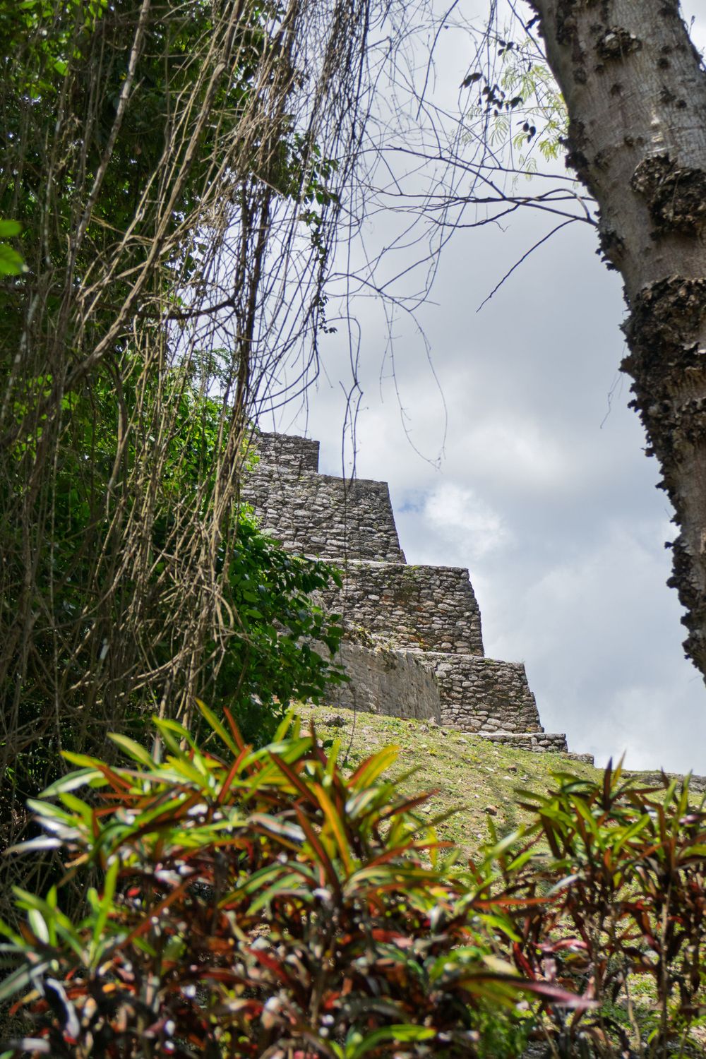 Ancient stone Maya ruins partially visible through tropical foliage against cloudy sky.