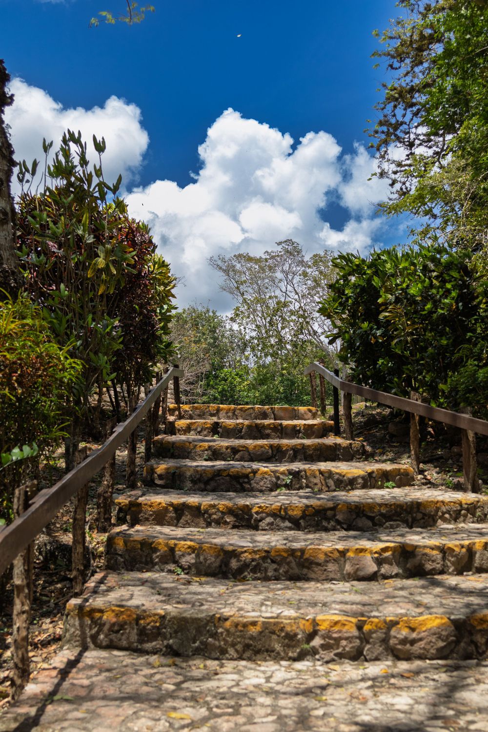 Stone steps leading upward at an ancient Maya archaeological site surrounded by lush vegetation.