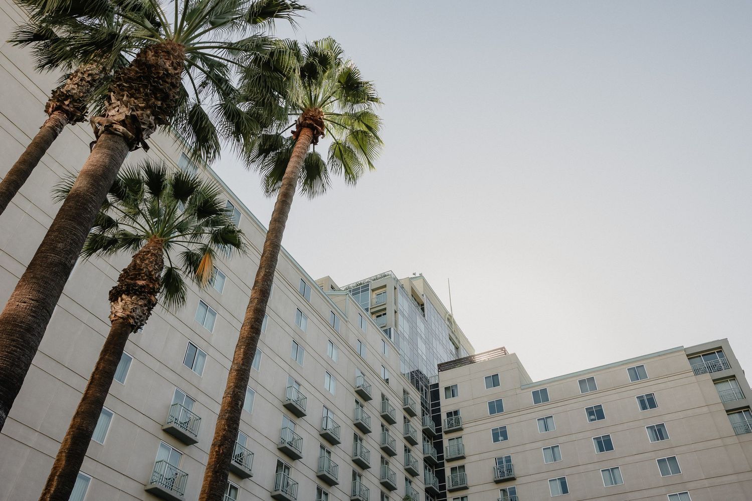 Palm trees tower beside a modern white apartment building photographed from a low angle against an overcast sky.