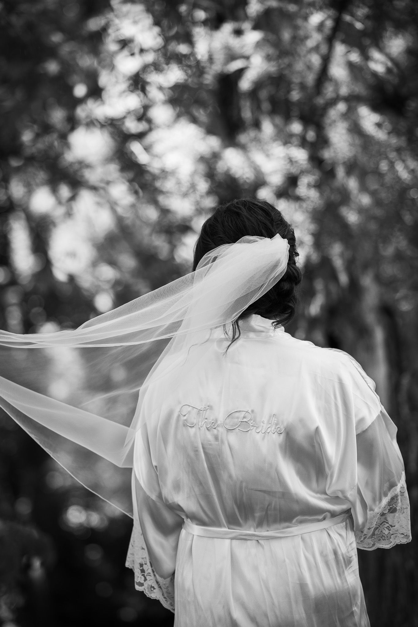 A bridal robe and veil silhouetted against bokeh trees in black and white.