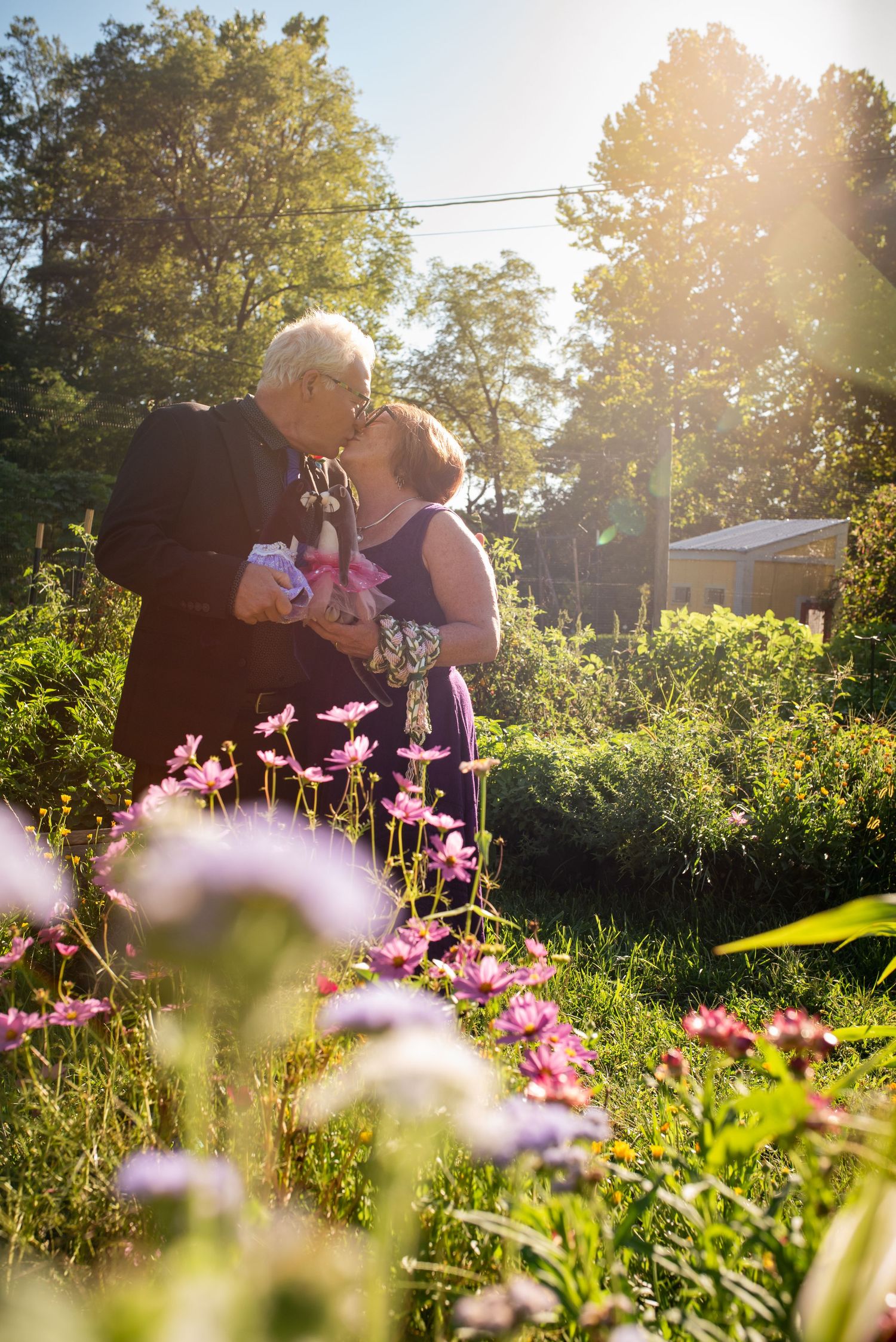 Couple embraces among pink cosmos flowers in sunlit garden.