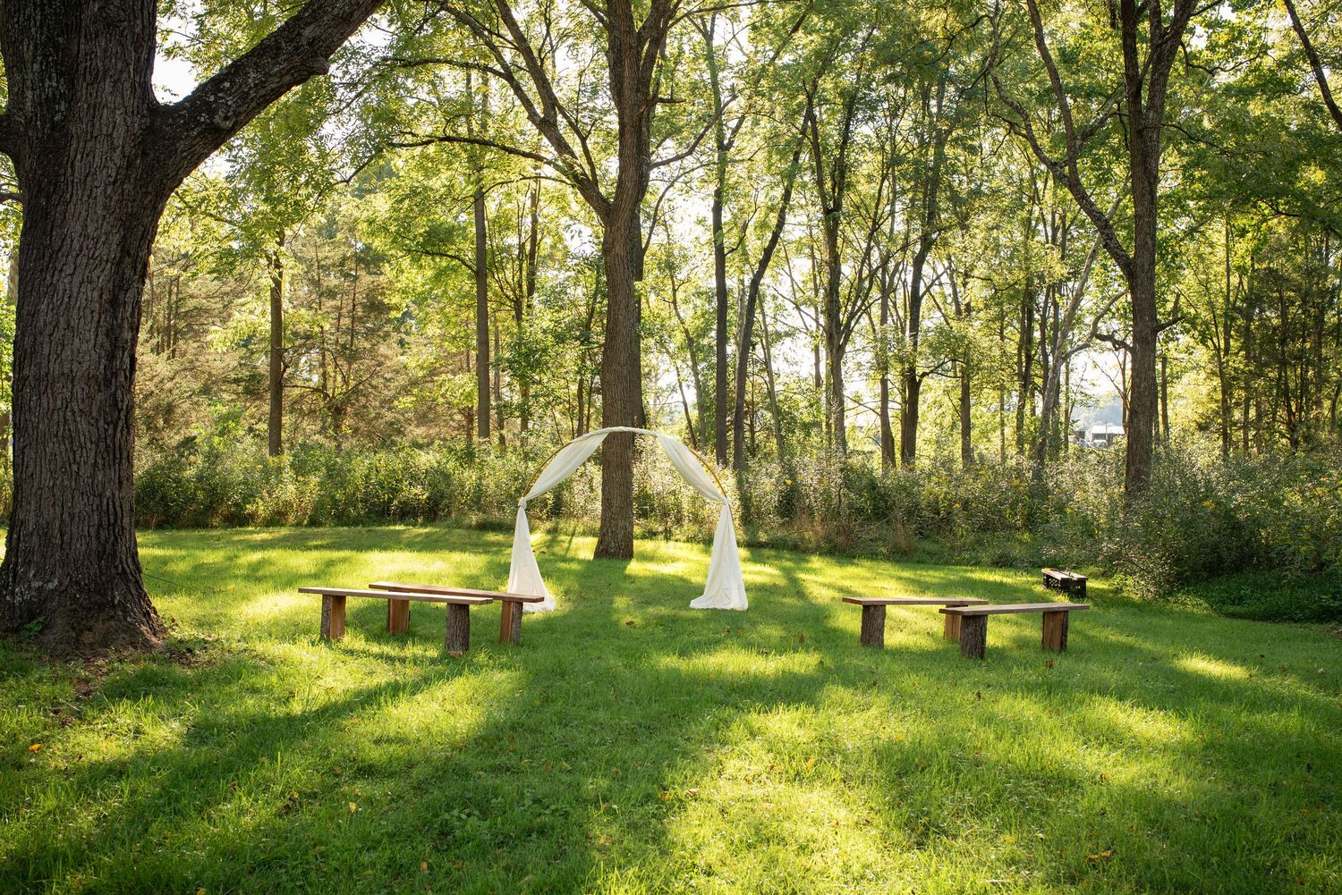 Rustic outdoor wedding setup with white arch and wooden benches in wooded clearing.