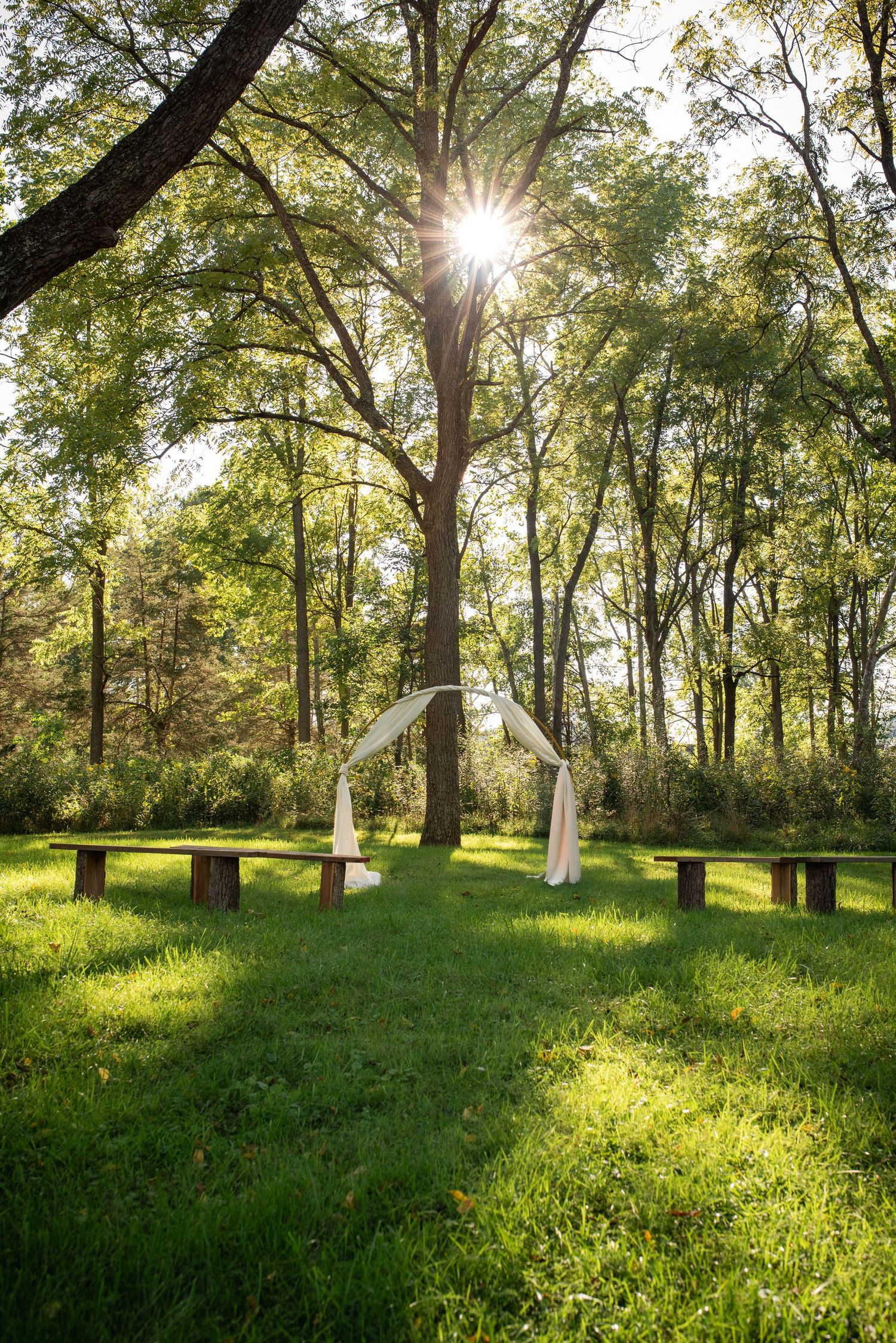 Sunlight streams through trees over white wedding arch and wooden benches.