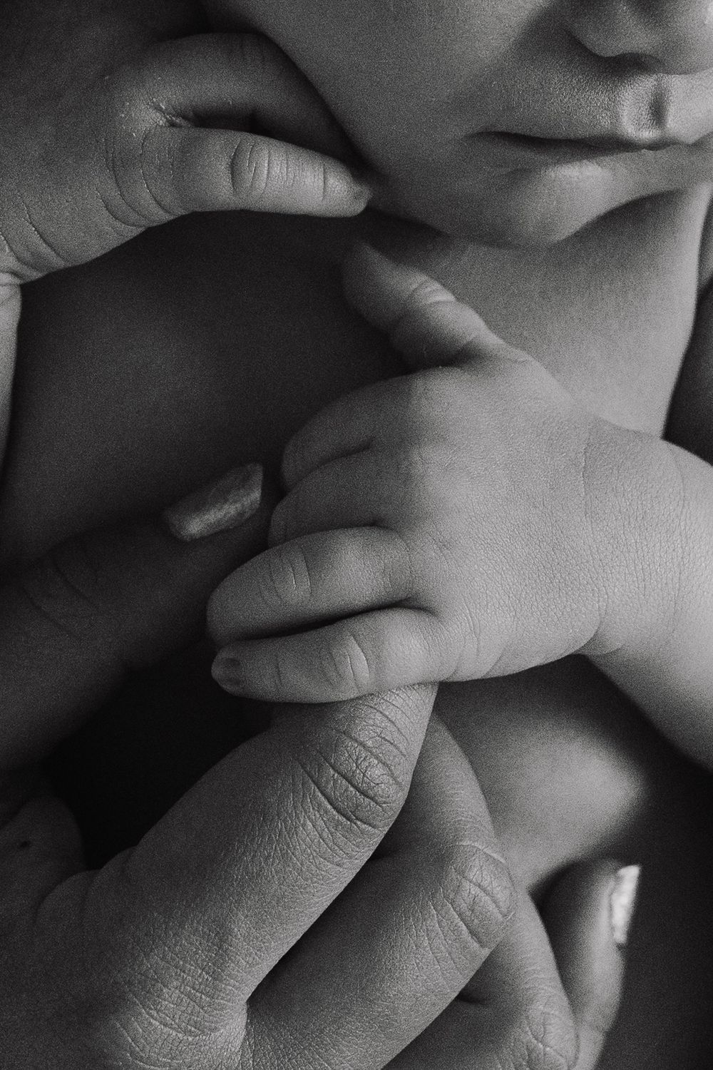 Close-up black and white image of hands gently touching.