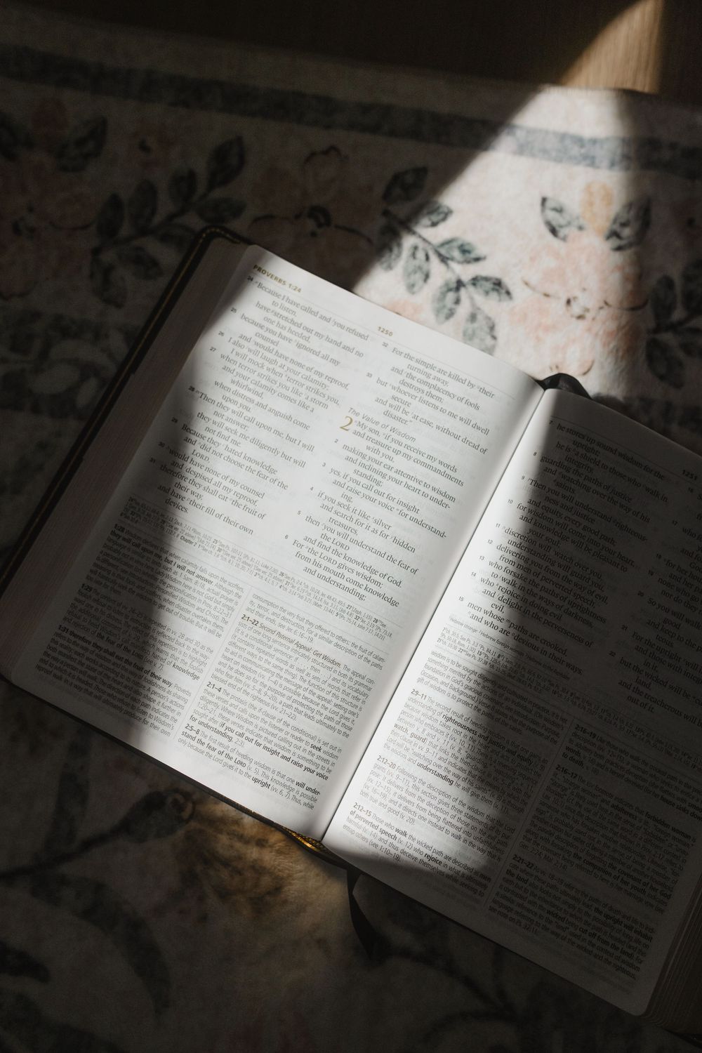 An open book lies on a floral patterned surface with dramatic lighting and shadows.