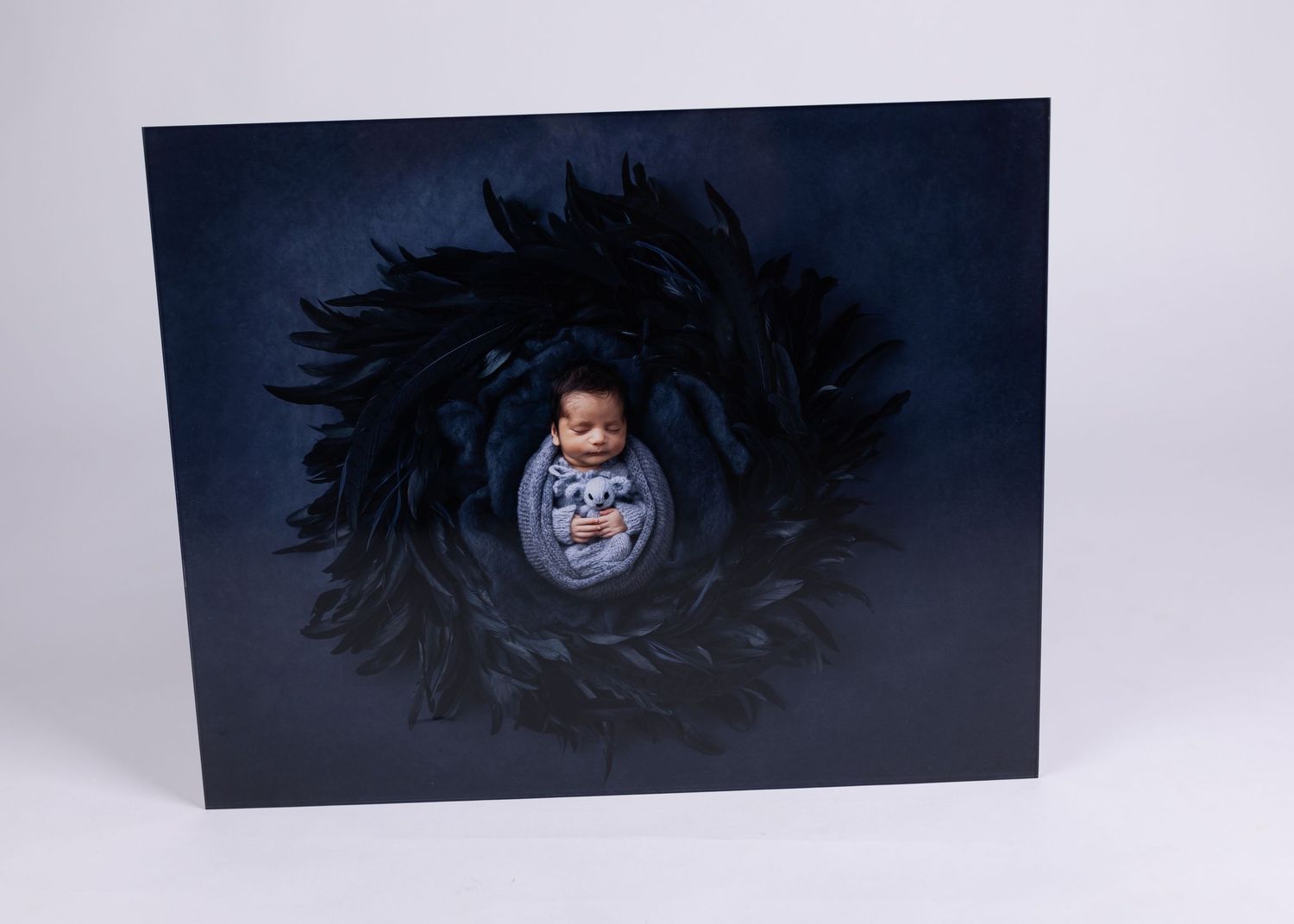 Apollo Beach Newborn Photographer