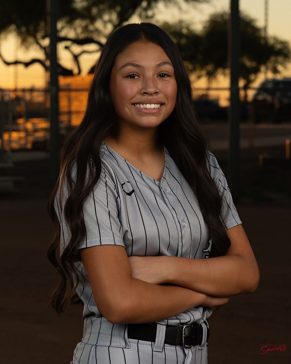 best softball team photo packages in phoenix az sports photographer media day Banners Pictures Anjeanette Photography