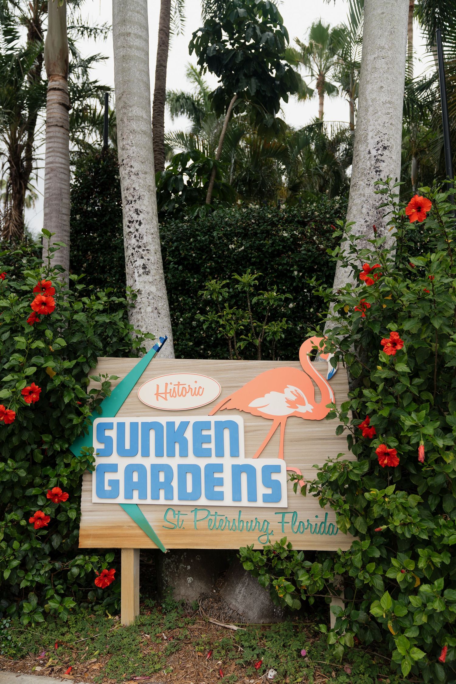 Vintage-style directional signs for Sunken Gardens tourist attraction in St. Petersburg, Florida with red hibiscus flowers and palms.