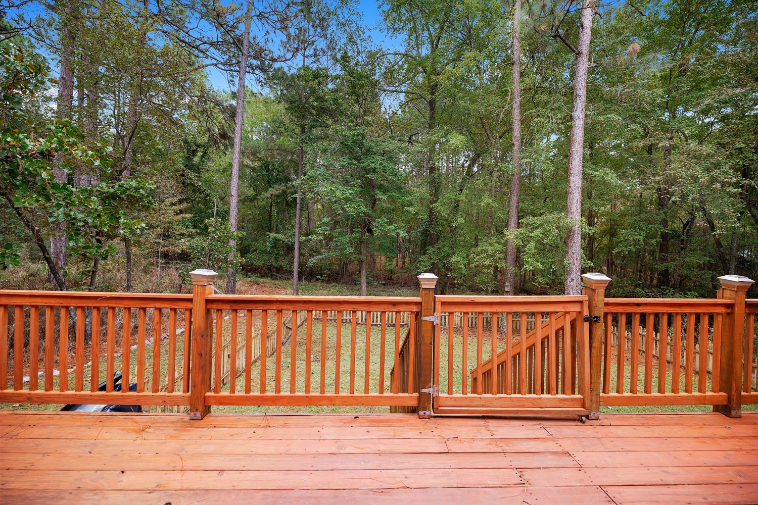 Large wooden deck with railing surrounded by tall pine trees in a natural setting.