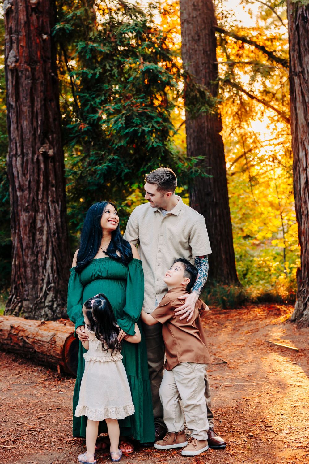 A family shares tender moments together in a sunlit forest with warm autumn colors and tall redwood trees.