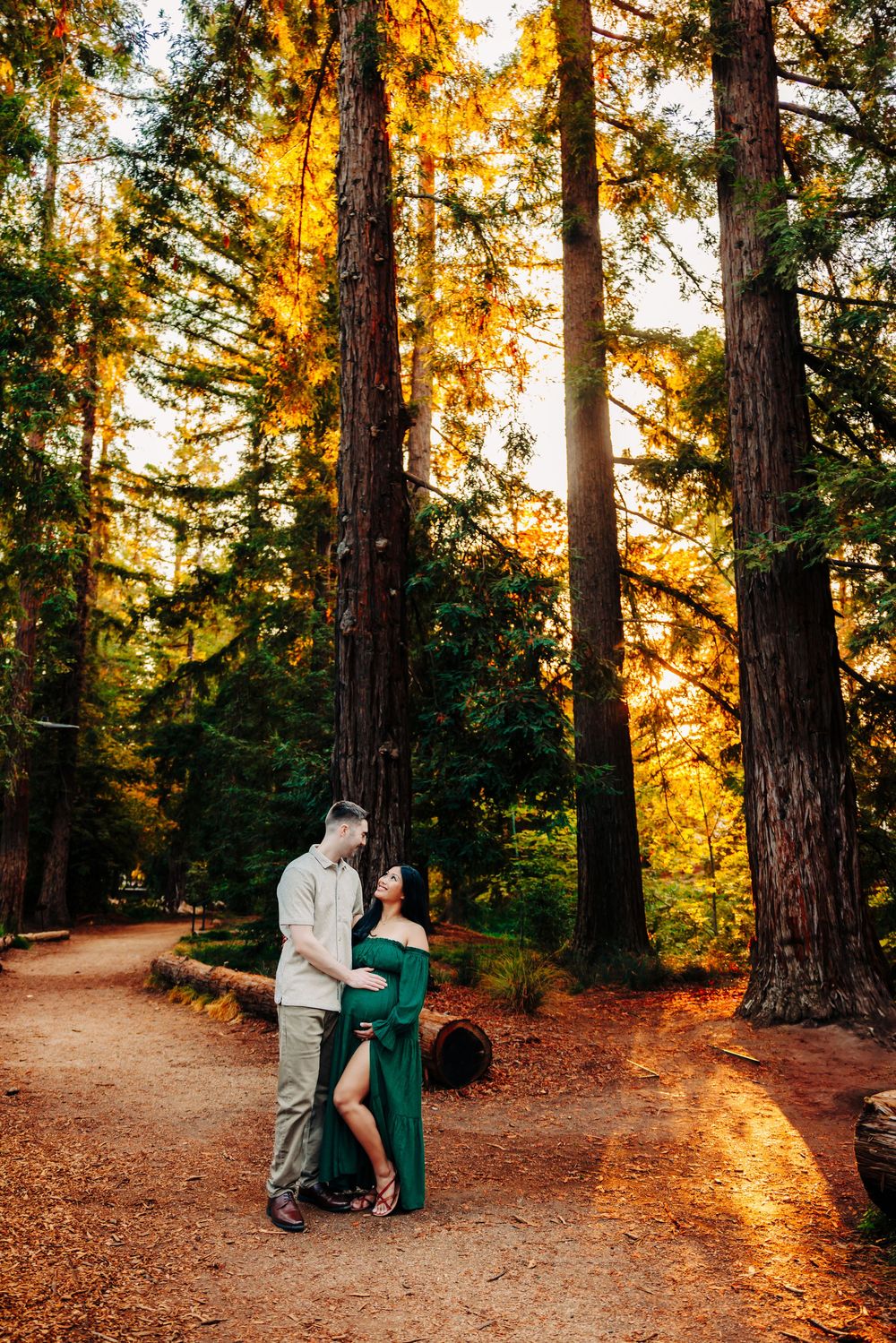 Romantic sunset photoshoot in a redwood forest with golden light filtering through tall trees.