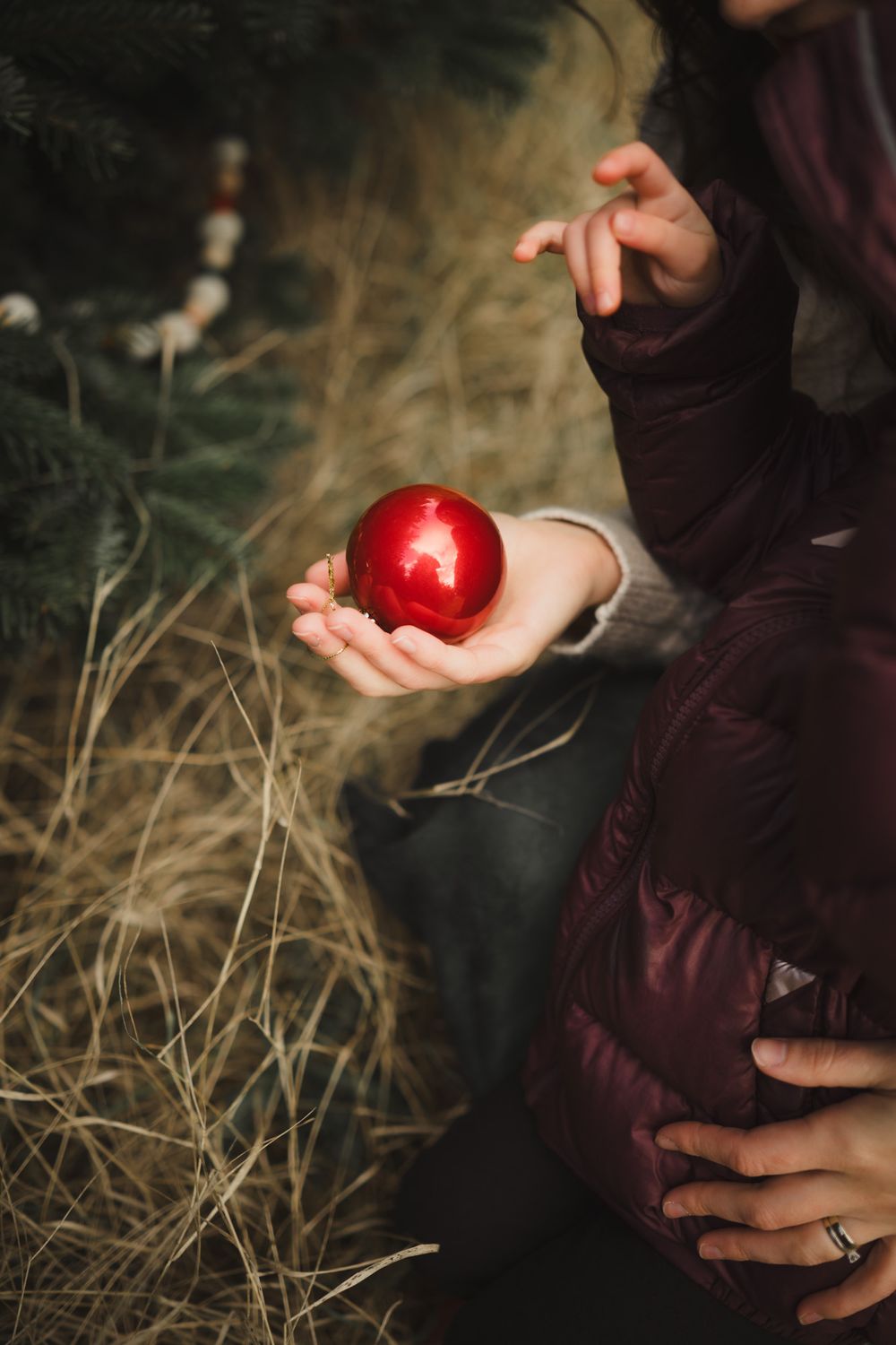 A sequence of images showing hands holding and examining a bright red apple against a dark moody background.
