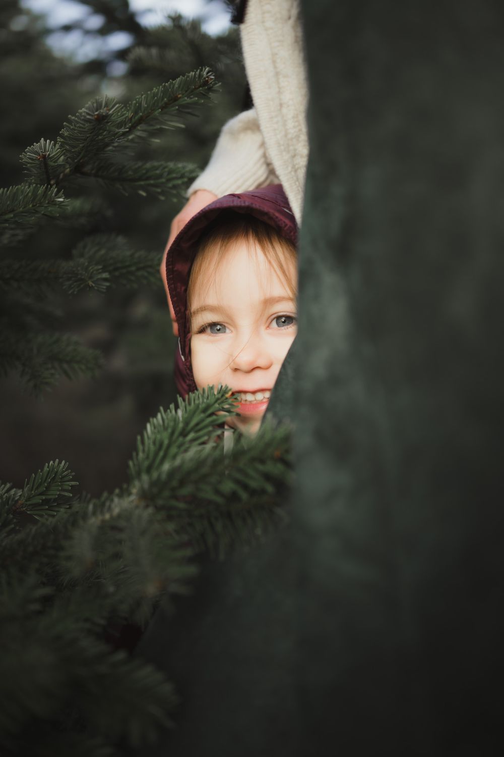 A playful peek through evergreen branches shows someone wearing a burgundy winter hat in a moody outdoor portrait.
