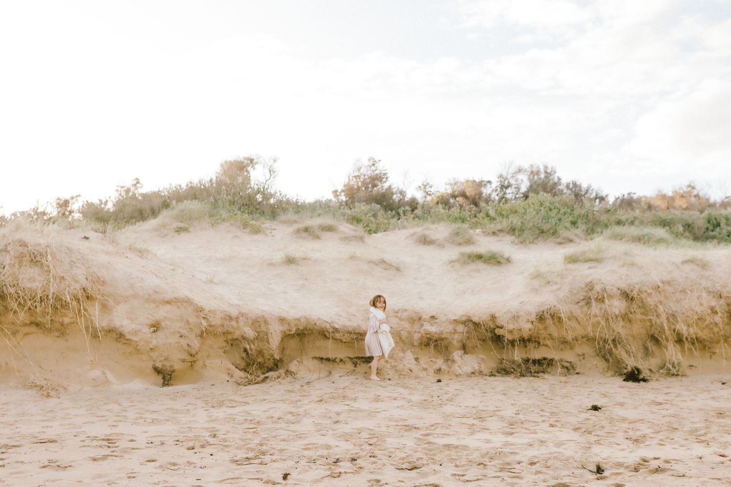 A panoramic view of a sandy beach landscape with small dunes and scattered vegetation stretches along the coastline.