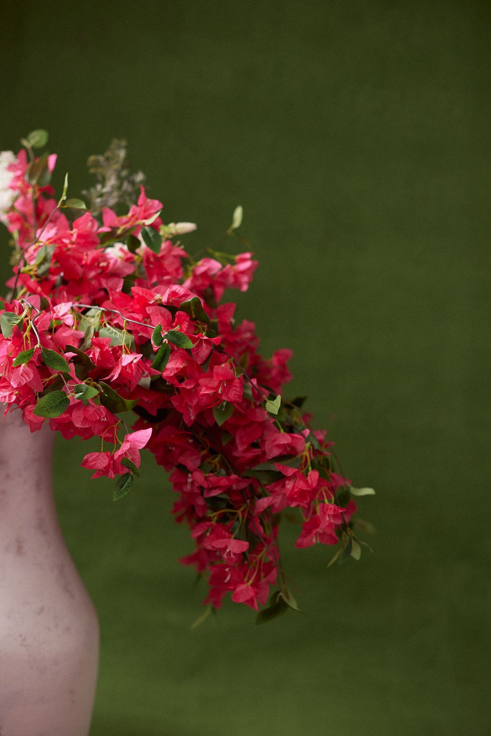 Pink vase with vibrant red bougainvillea flowers cascading over the edge against a dark green background.