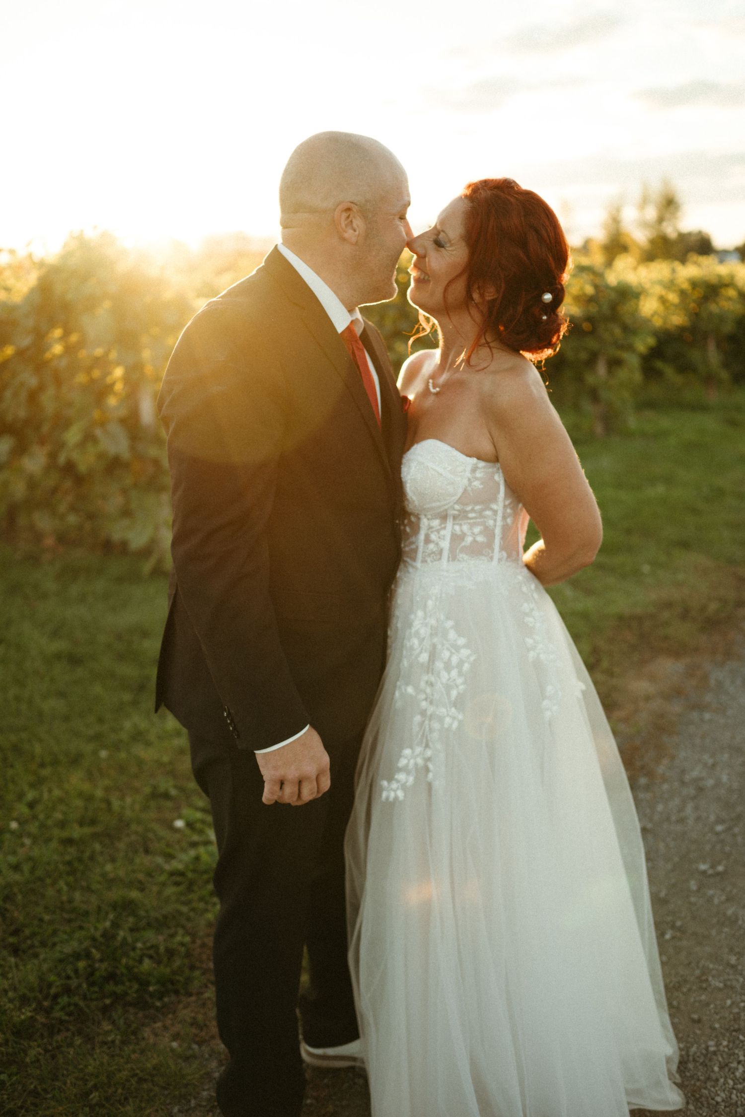 A bride and groom share a romantic kiss at golden hour, surrounded by lush vineyard greenery.