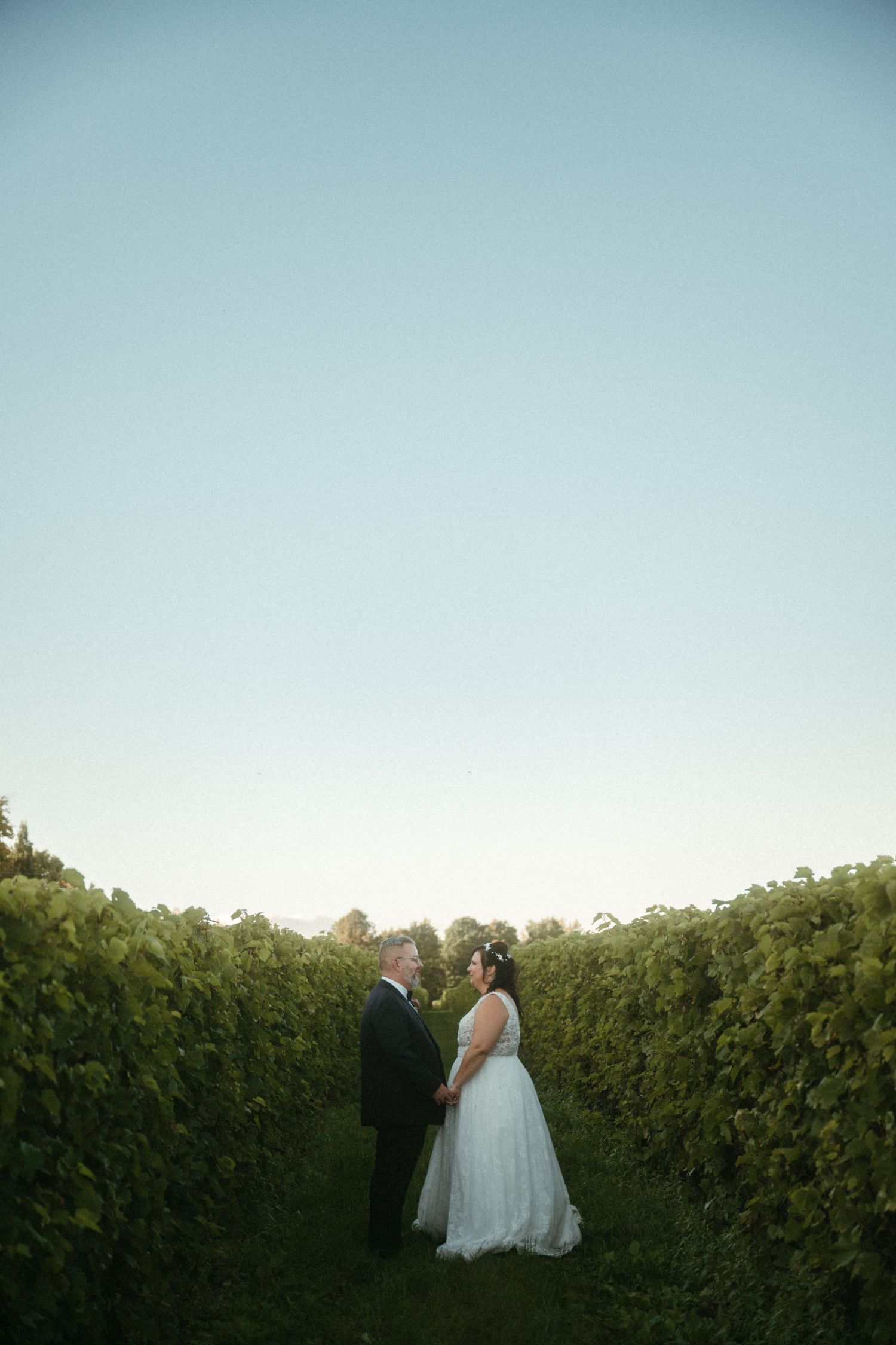 Bride and groom hold hands in lush vineyard aisle under clear blue sky.