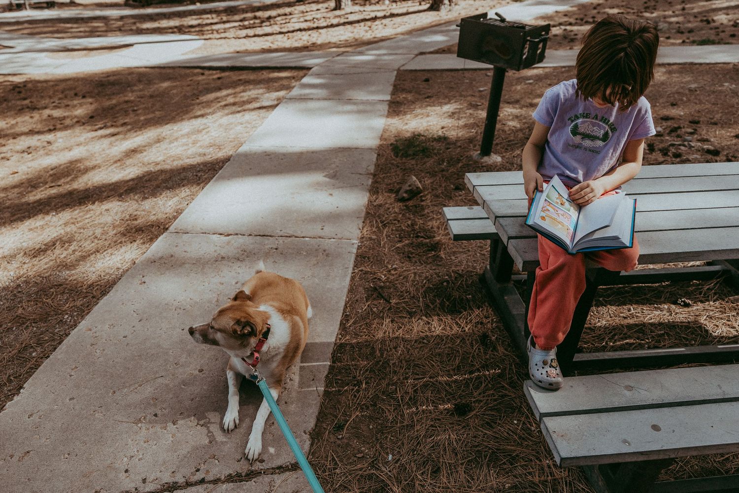 Child reading a book on a park bench with a leashed dog standing nearby on a sunny day in Flagstaff, Arizona