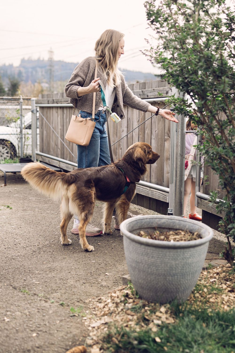 A woman in a gray cardigan walks her large brown dog on a leash outside near a wooden fence.
