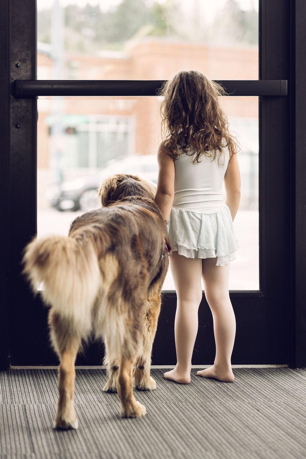 A young girl in a white ballet outfit stands at a glass door with a large brown dog looking outside.