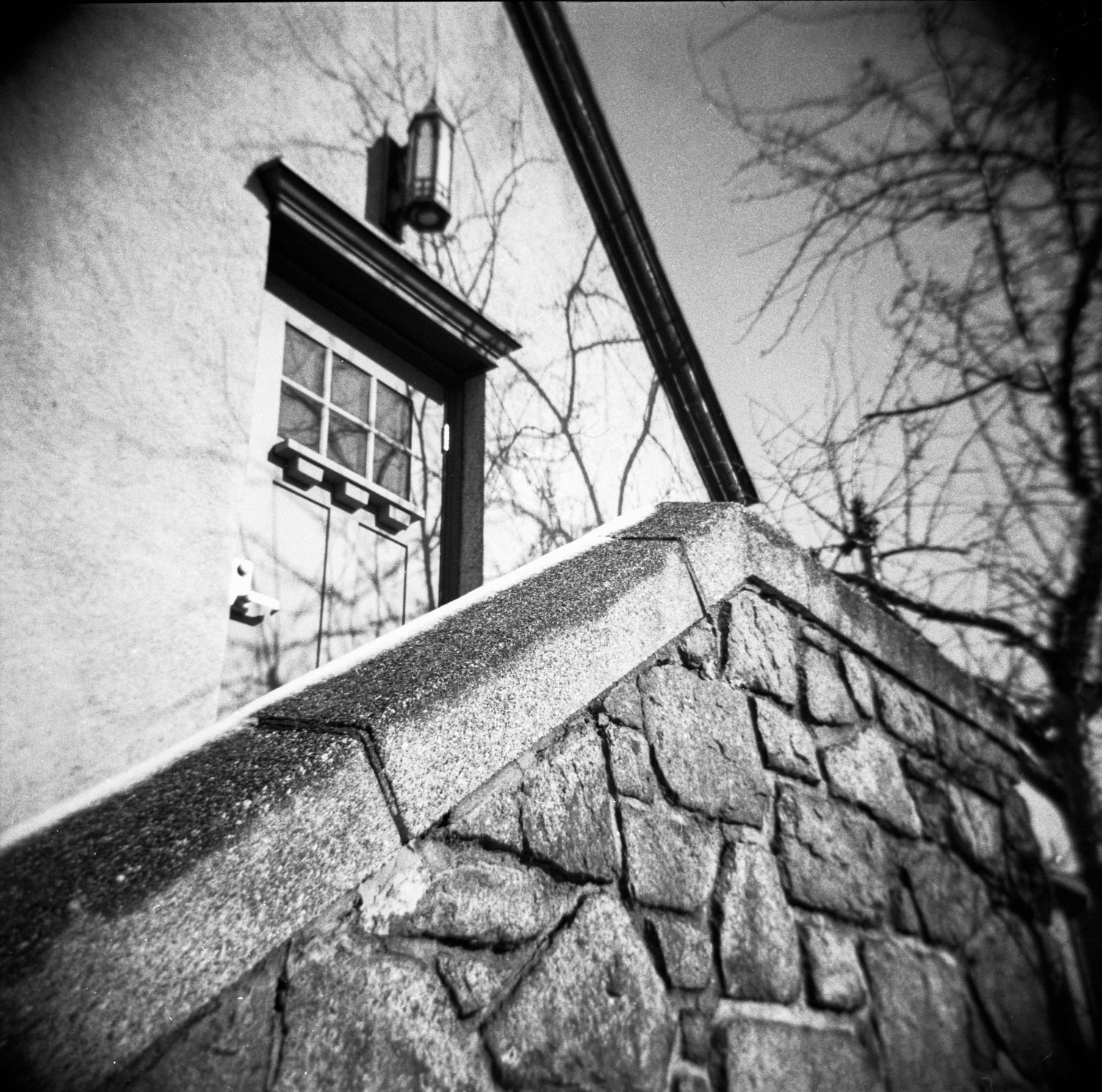 Low angle black and white architectural detail of a building corner with bare tree branches against a moody sky.